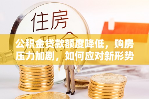 东光公积金贷款额度降低，购房压力加剧，如何应对新形势？