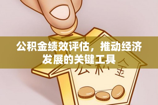 东光公积金绩效评估，推动经济发展的关键工具