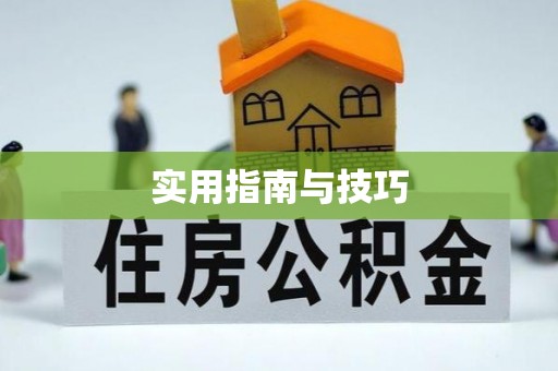 东光实用指南与技巧