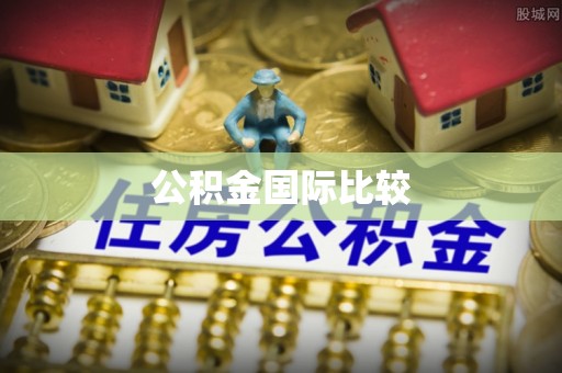 东光公积金国际比较