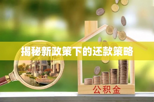 东光揭秘新政策下的还款策略