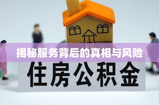 东光揭秘服务背后的真相与风险