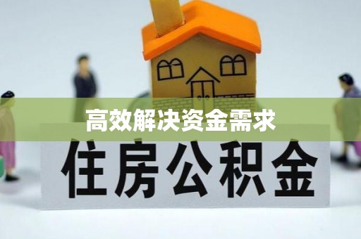 东光高效解决资金需求