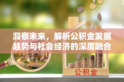 东光洞察未来，解析公积金发展趋势与社会经济的深度融合