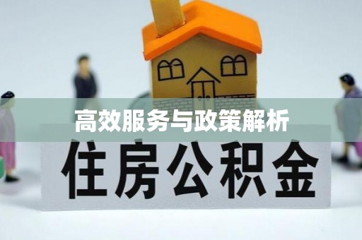 东光高效服务与政策解析