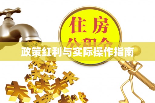 东光政策红利与实际操作指南