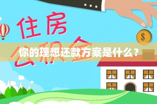 东光你的理想还款方案是什么？