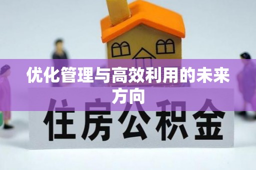 东光优化管理与高效利用的未来方向