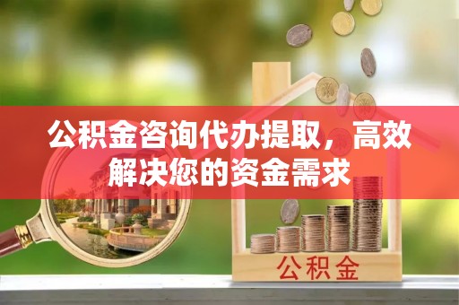东光公积金咨询代办提取，高效解决您的资金需求