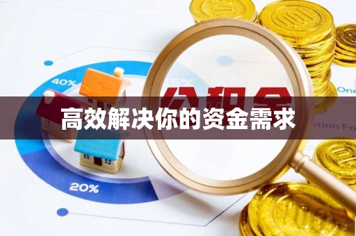 东光高效解决你的资金需求