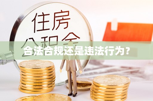 东光合法合规还是违法行为？