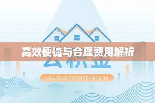 东光高效便捷与合理费用解析
