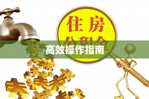 东光高效操作指南