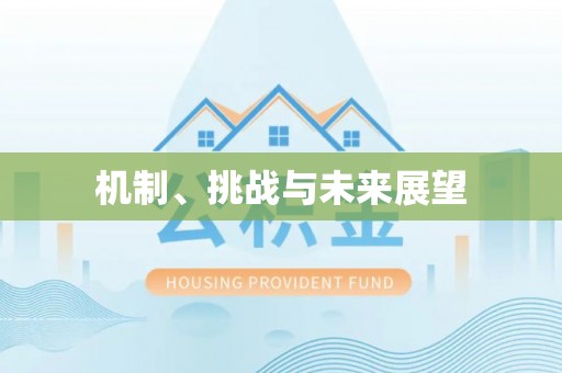 东光机制、挑战与未来展望