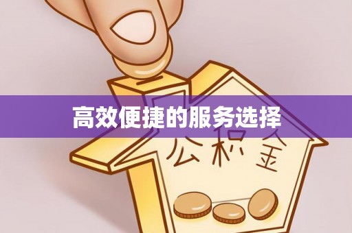 东光高效便捷的服务选择